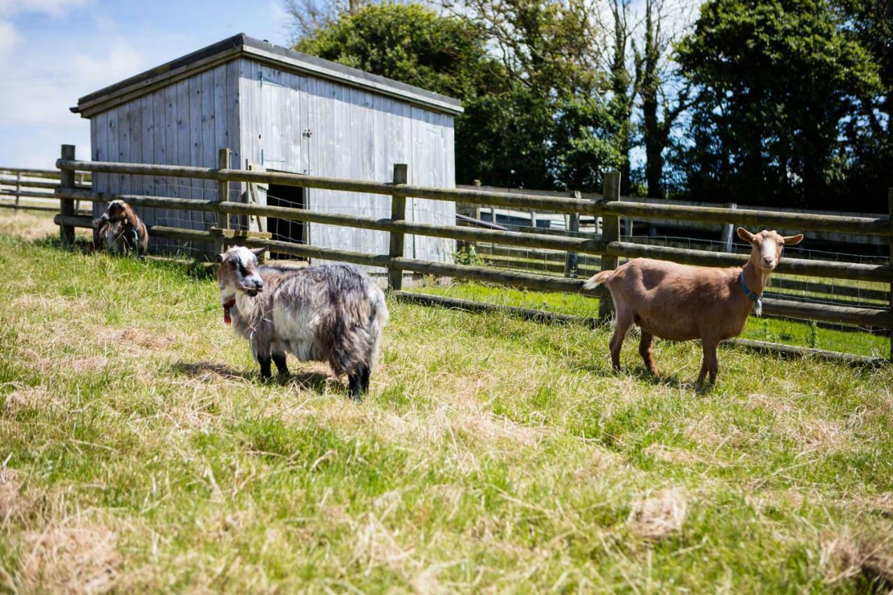 Sharlands Farm Bude