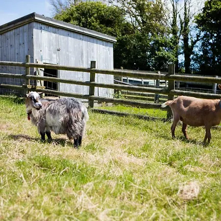 Sharlands Farm Holiday Cottages Bude Exterior photo